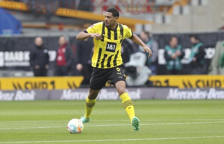 凯发体育网页版全新升级体验 凯发体育网页版全新升级体验